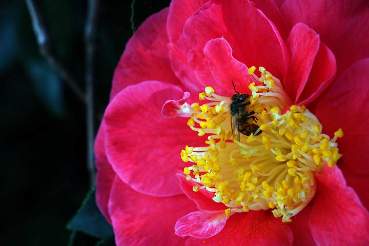 Web Design and Development